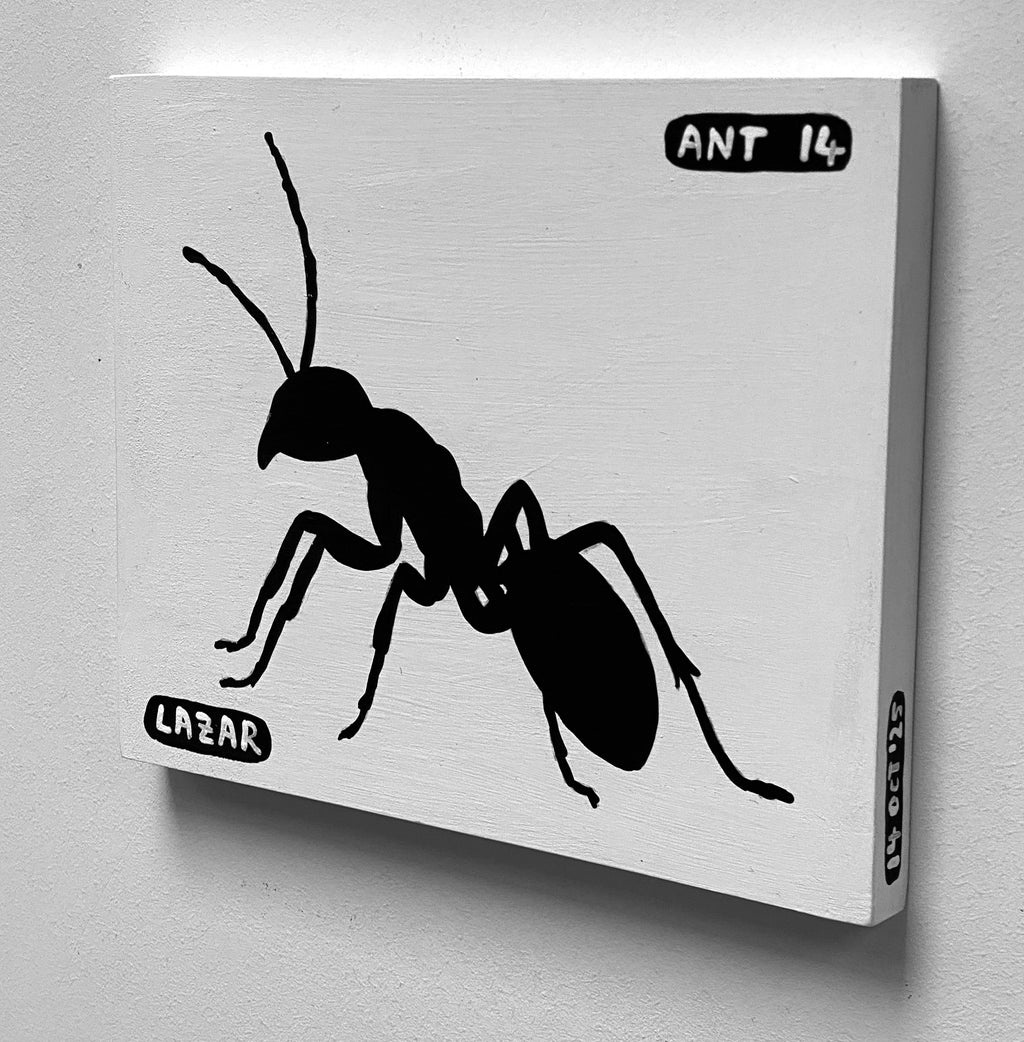 Ant #14