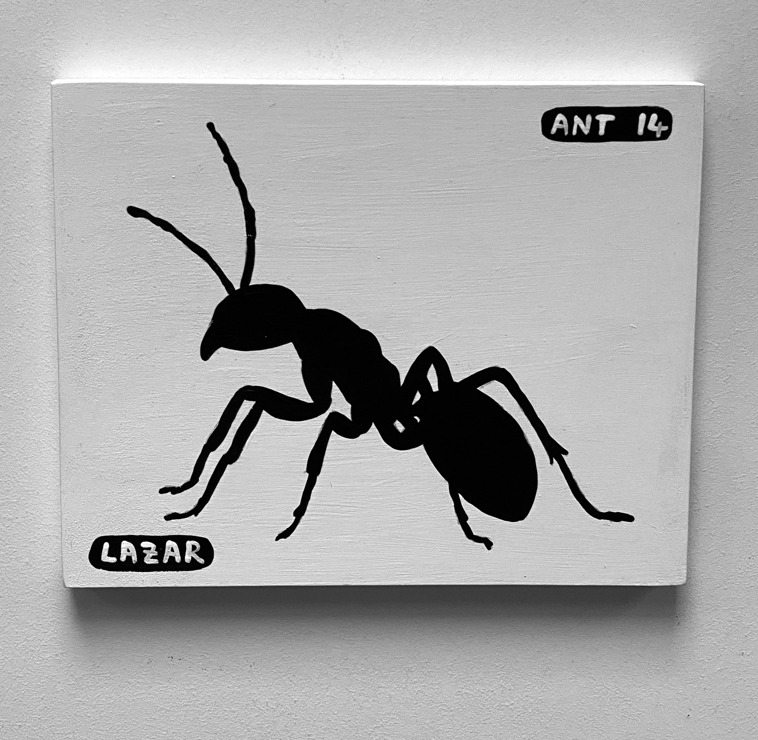Ant #14