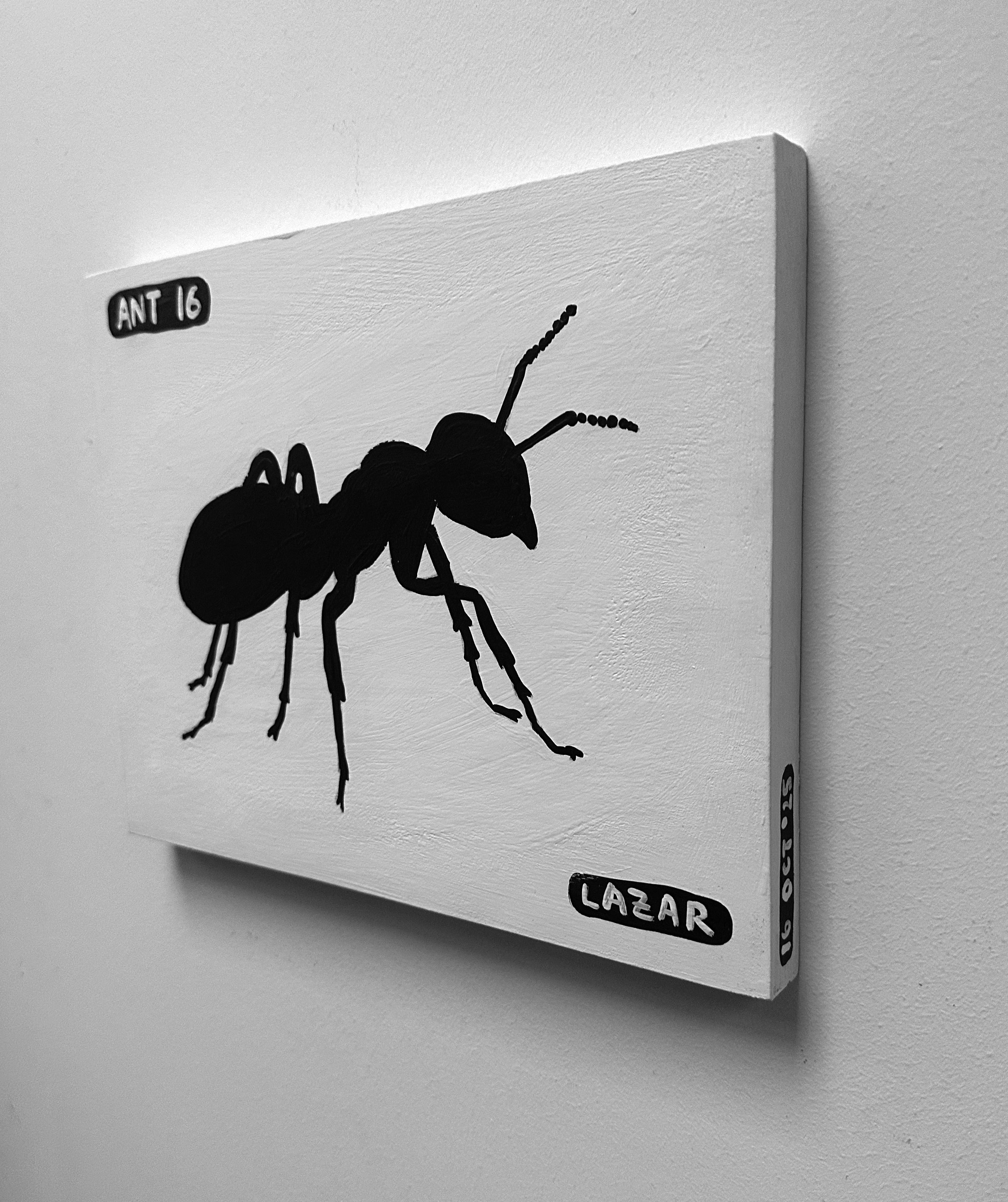 Ant #16