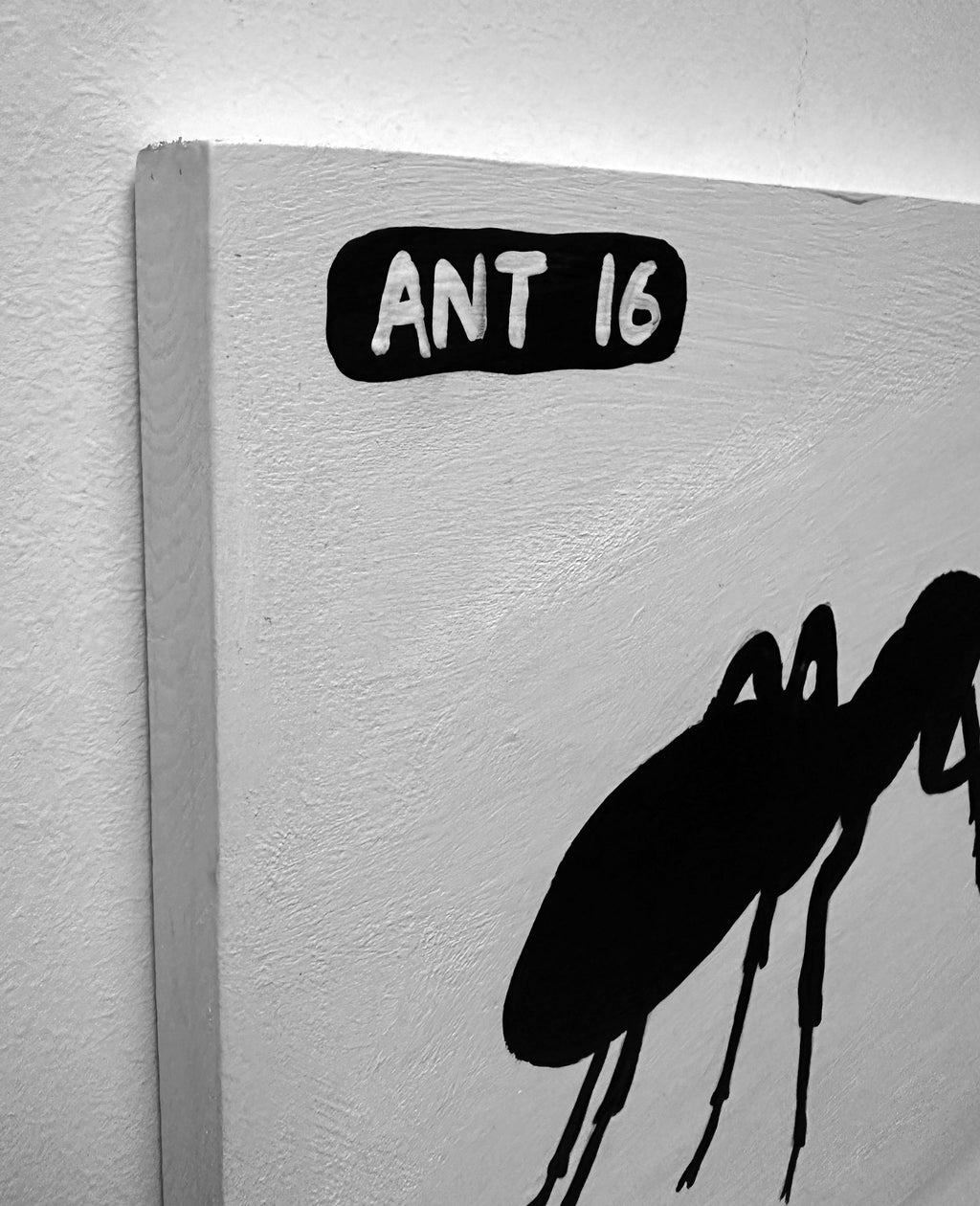 Ant #16