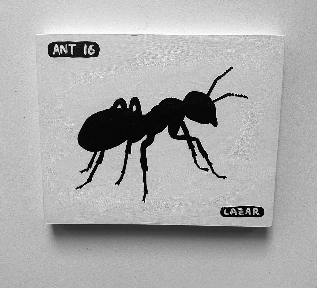 Ant #16