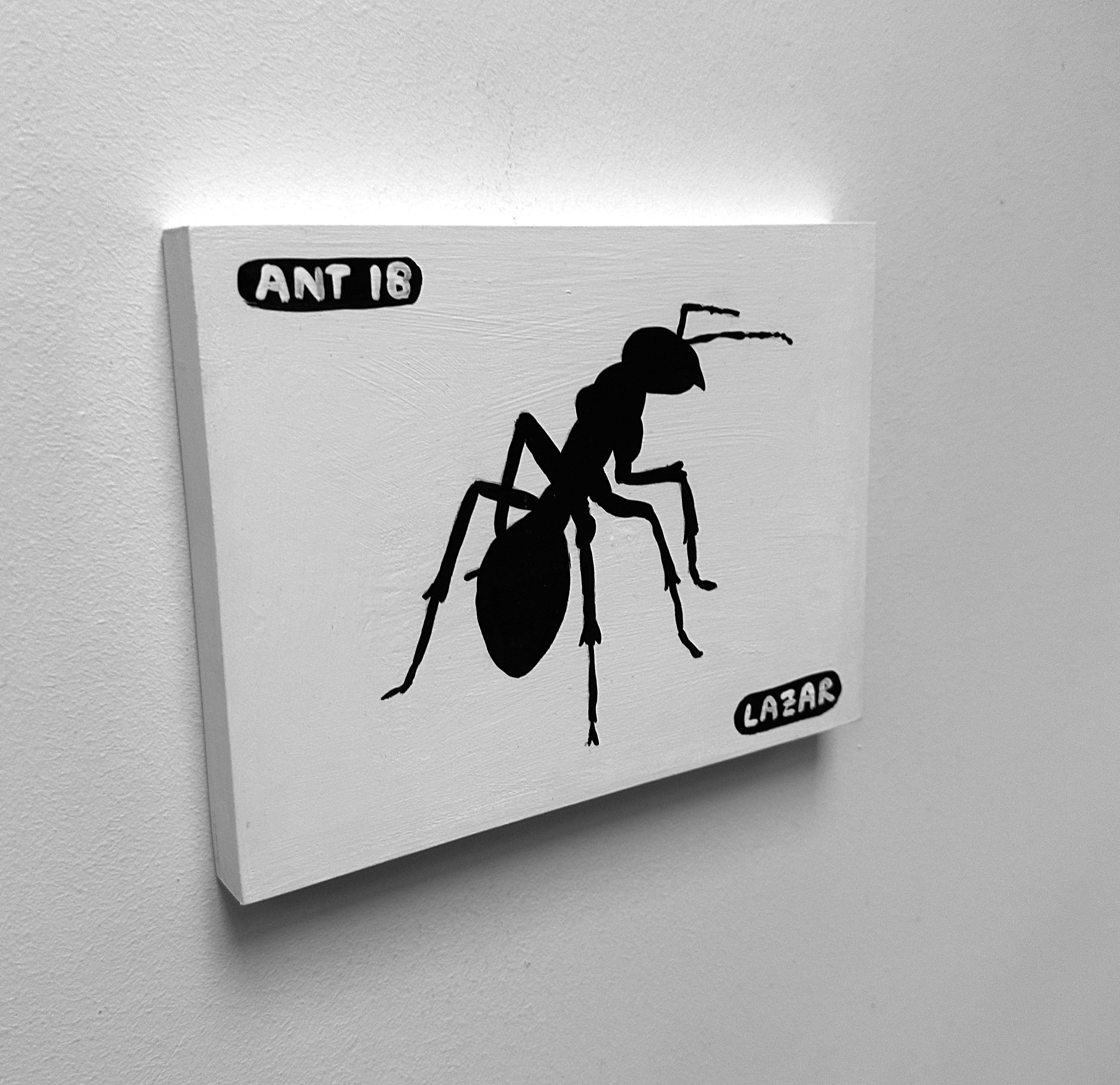 Ant #18