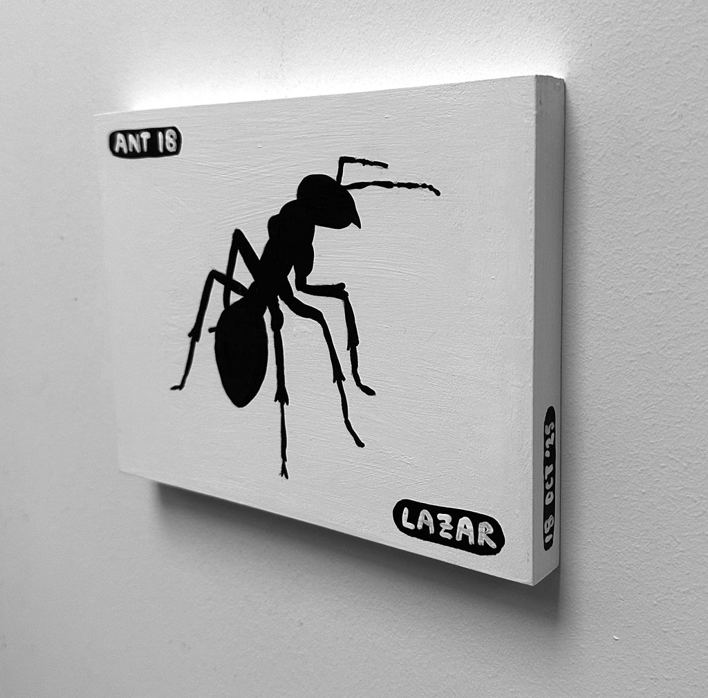 Ant #18