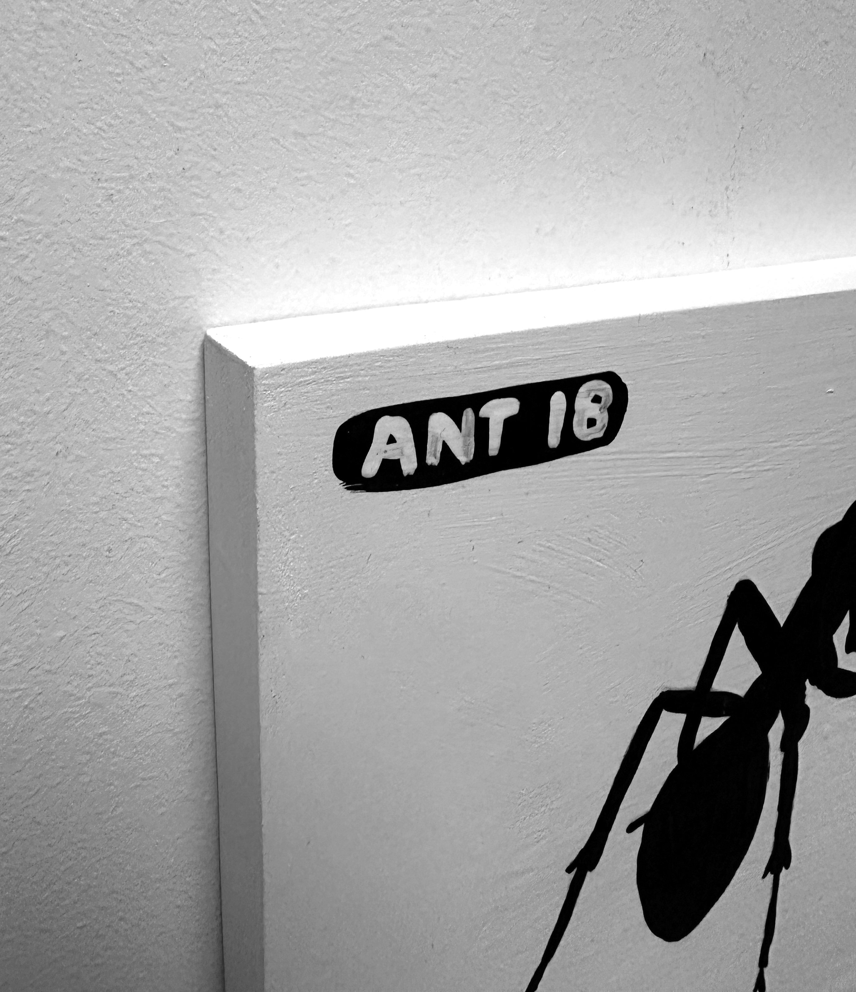 Ant #18