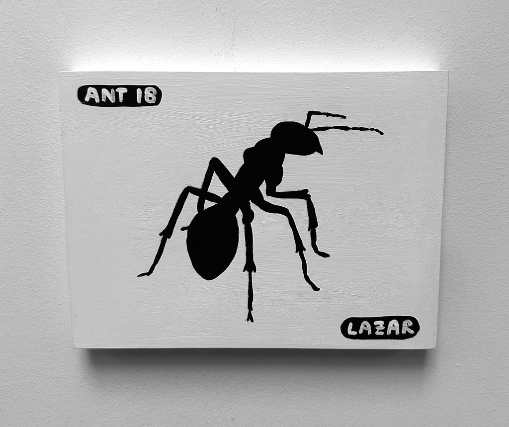 Ant #18