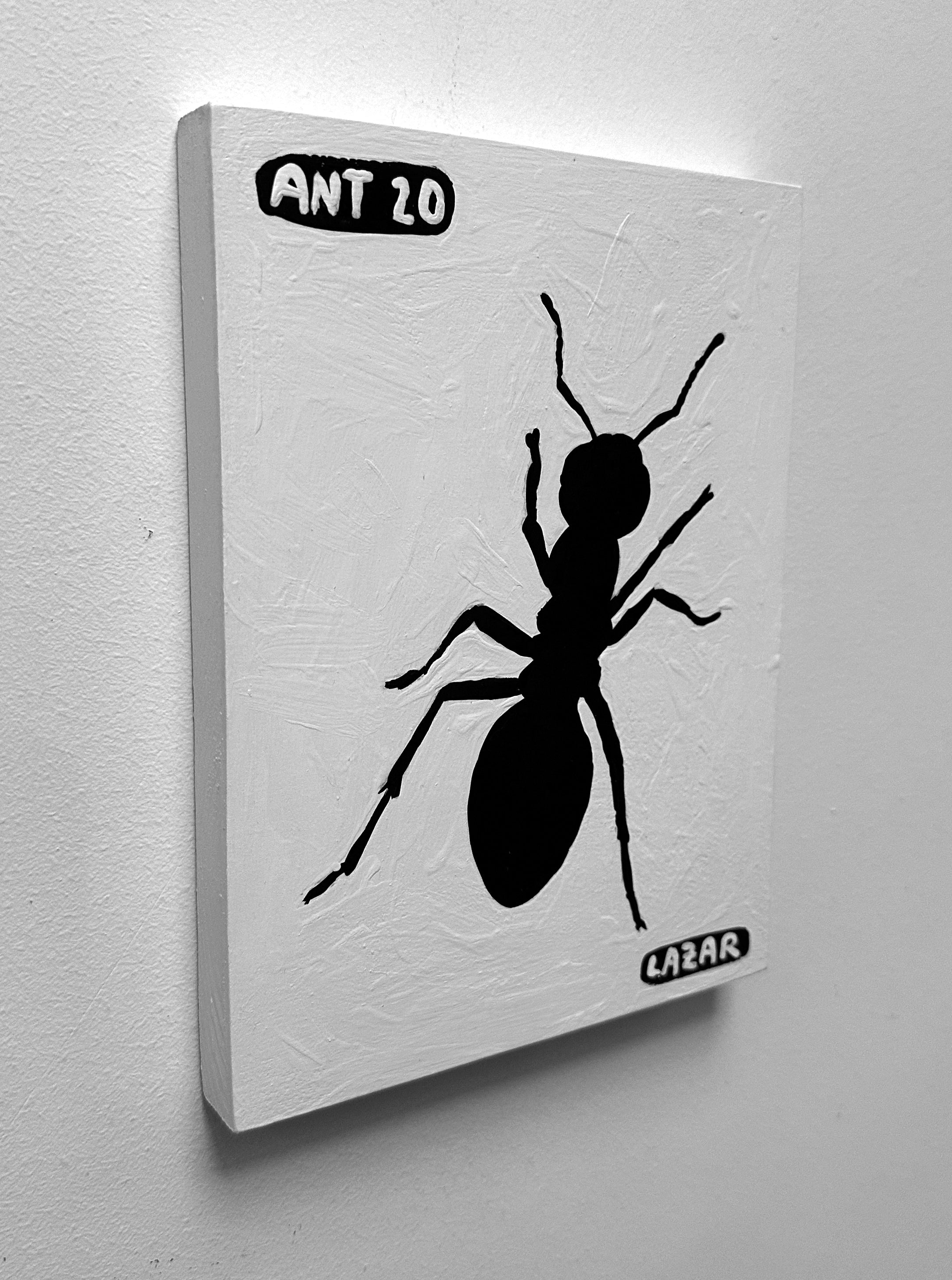Ant #20