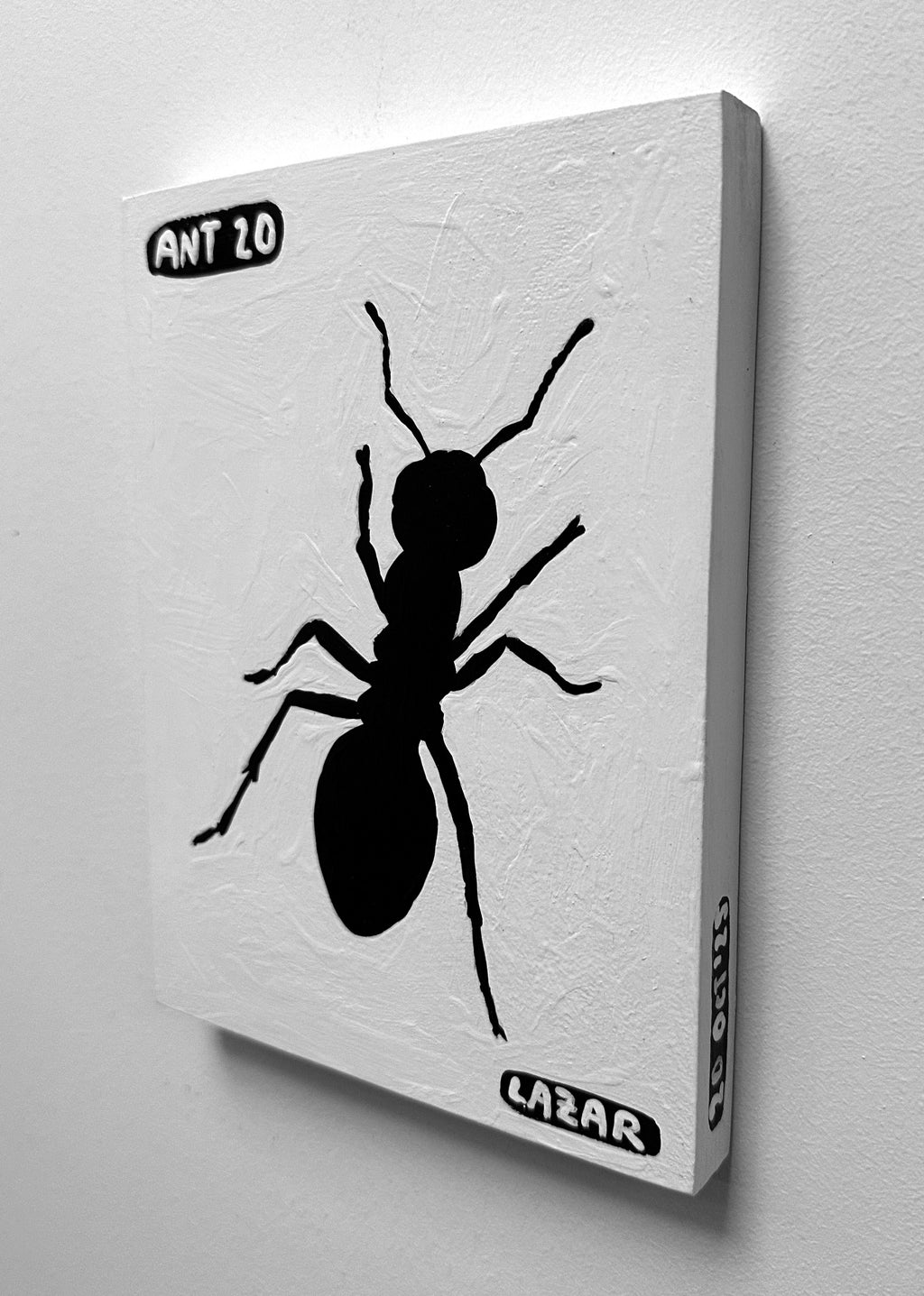 Ant #20