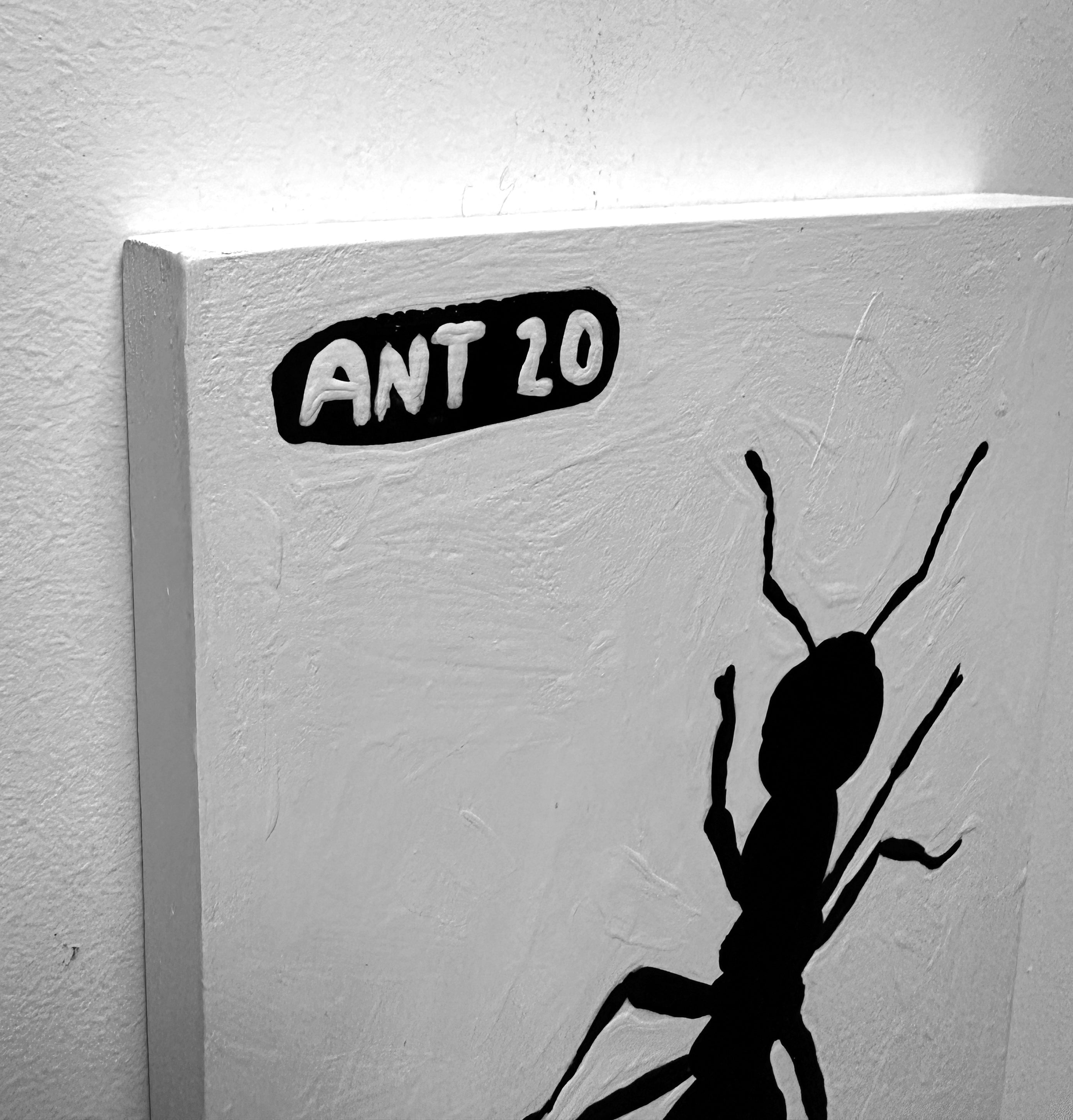 Ant #20