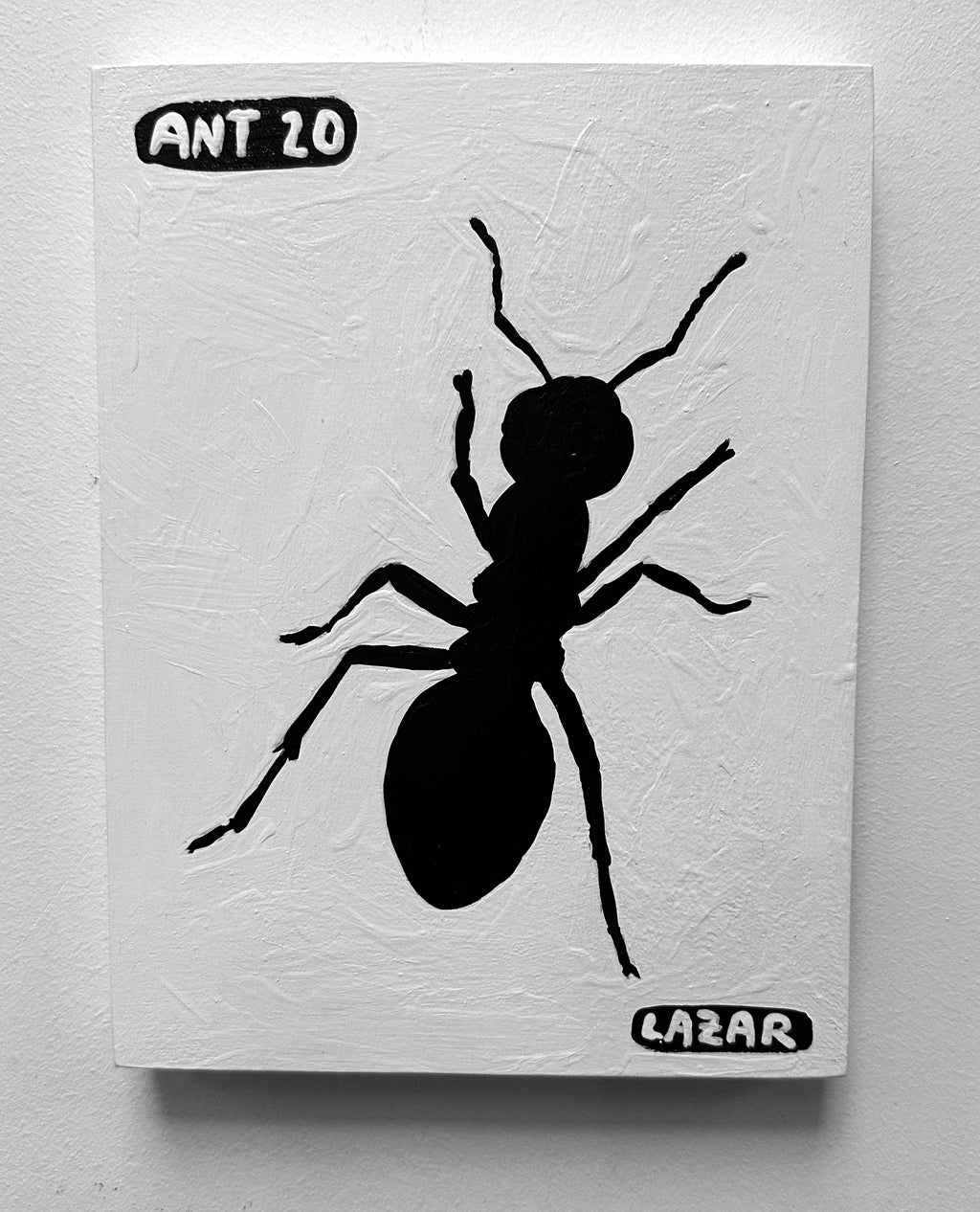 Ant #20