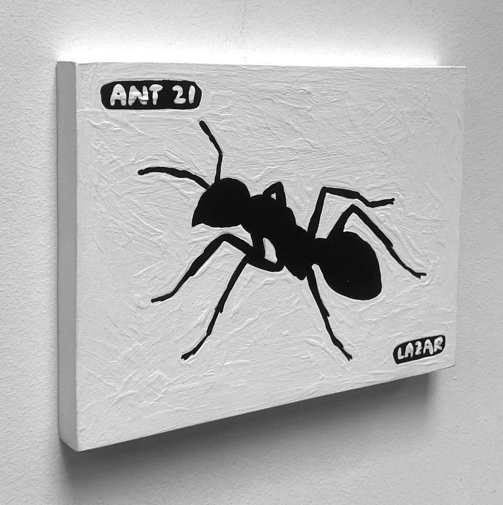 Ant #21
