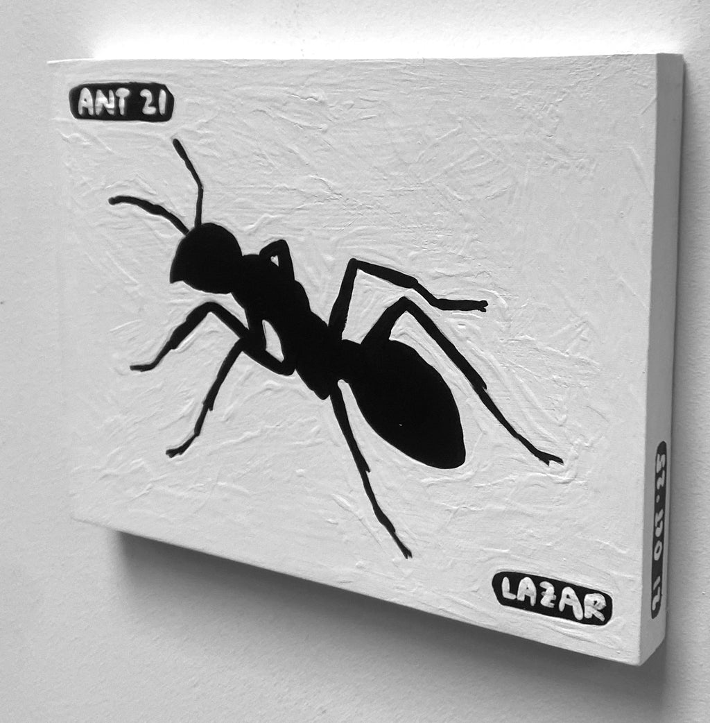 Ant #21
