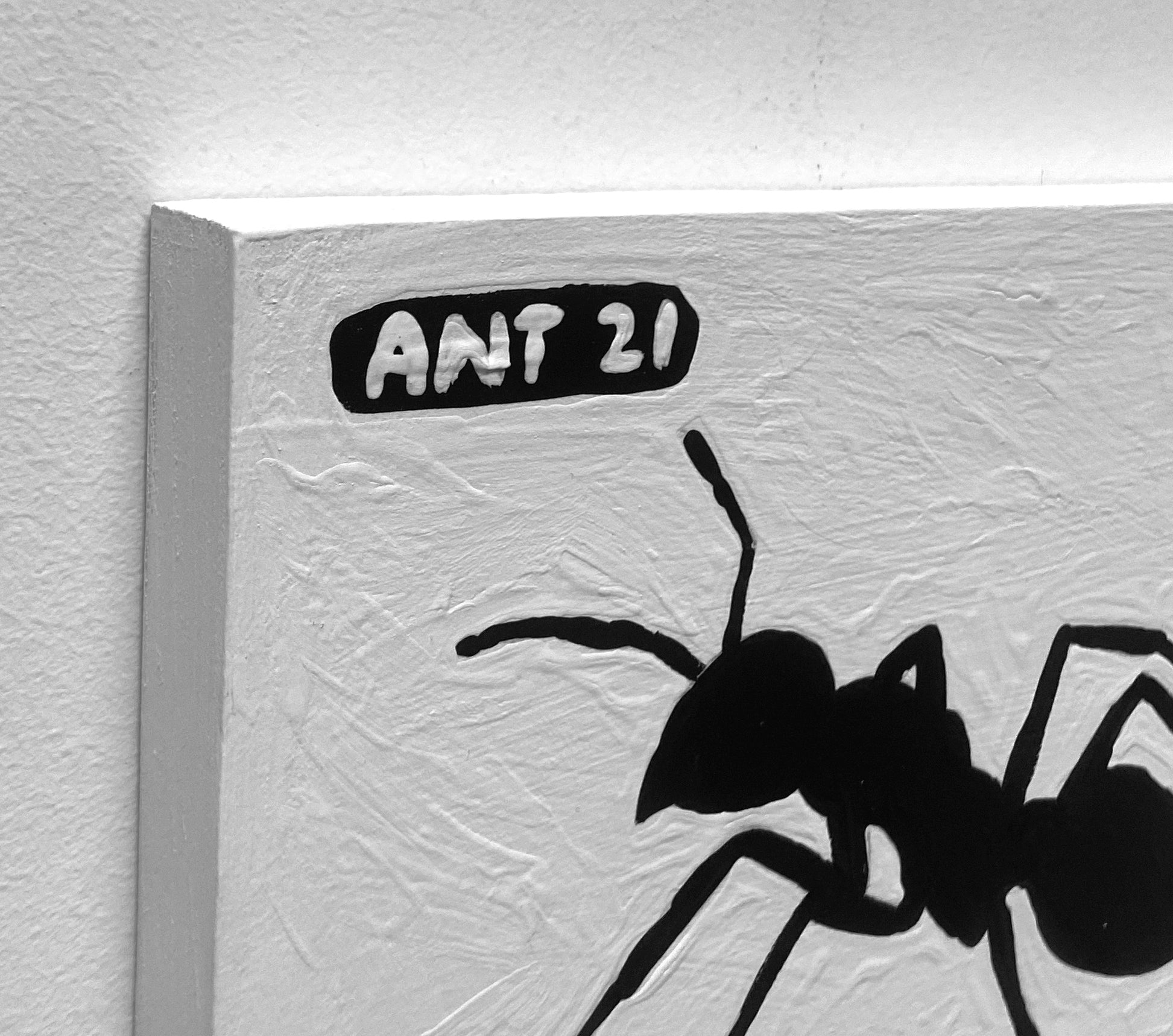 Ant #21