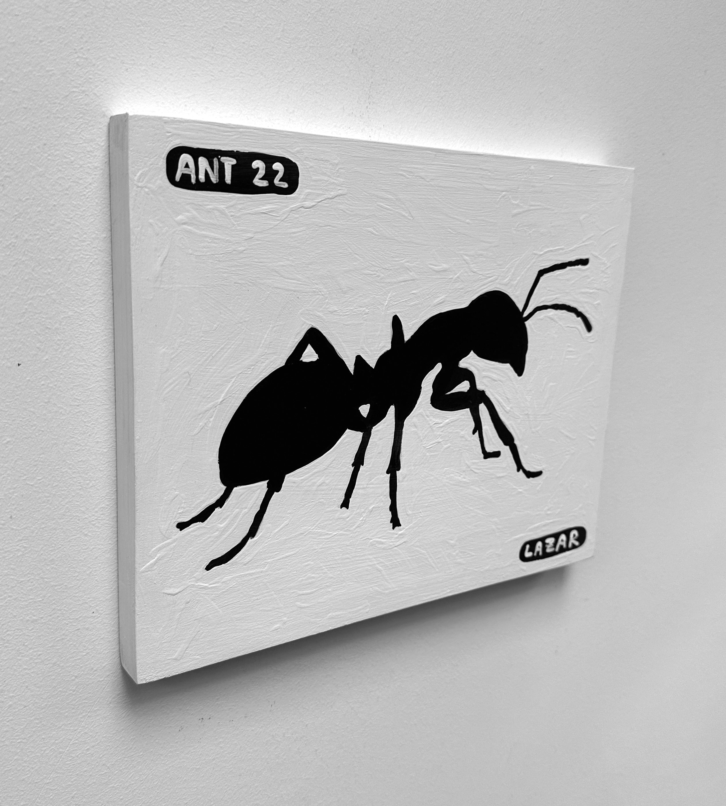 Ant #22