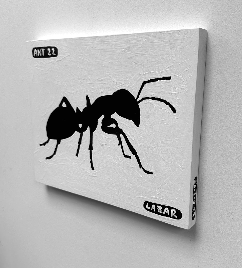Ant #22