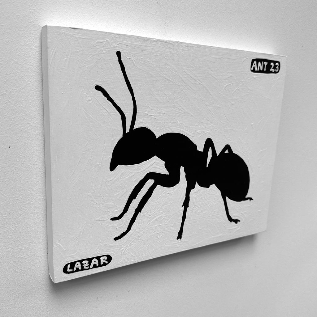 Ant #23