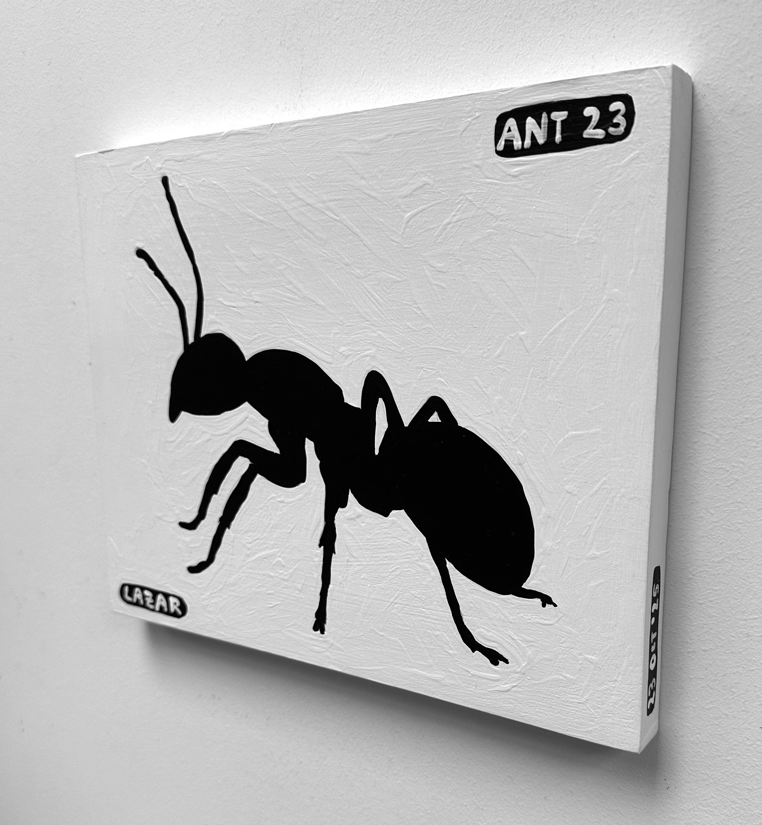 Ant #23