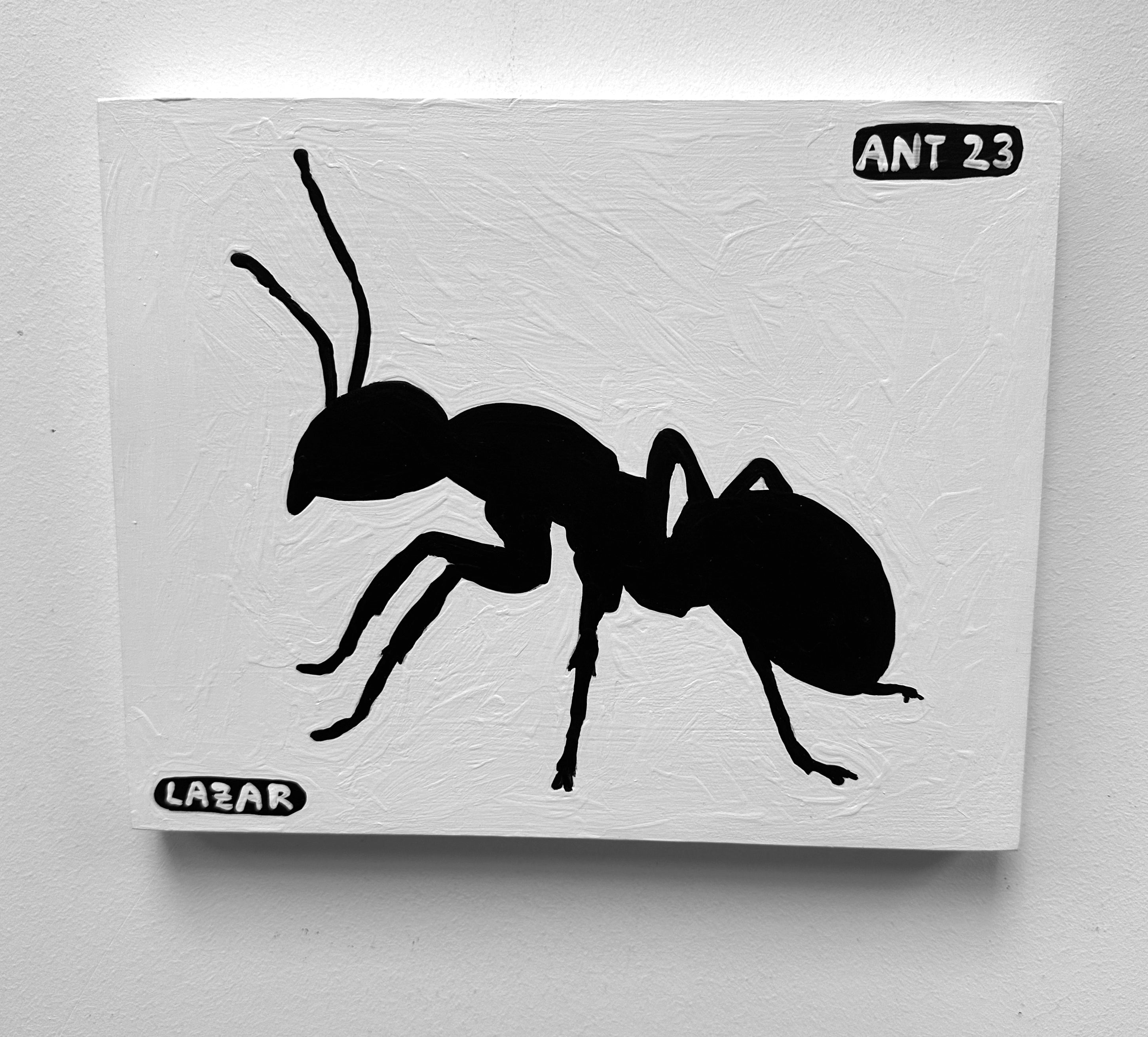 Ant #23