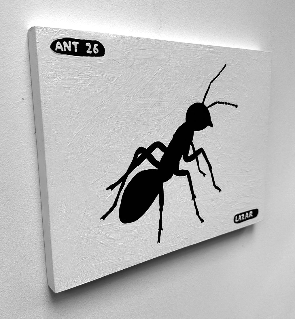 Ant #26