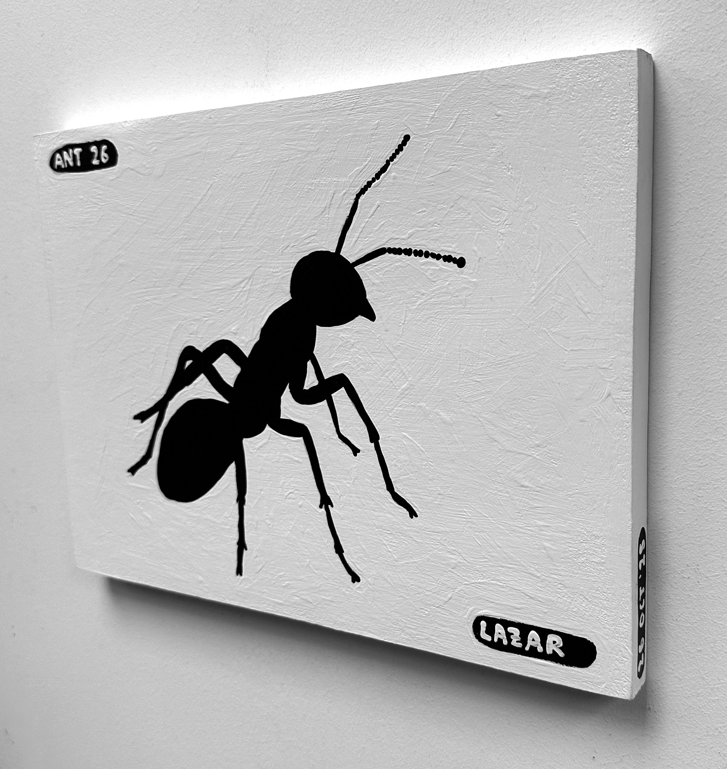 Ant #26