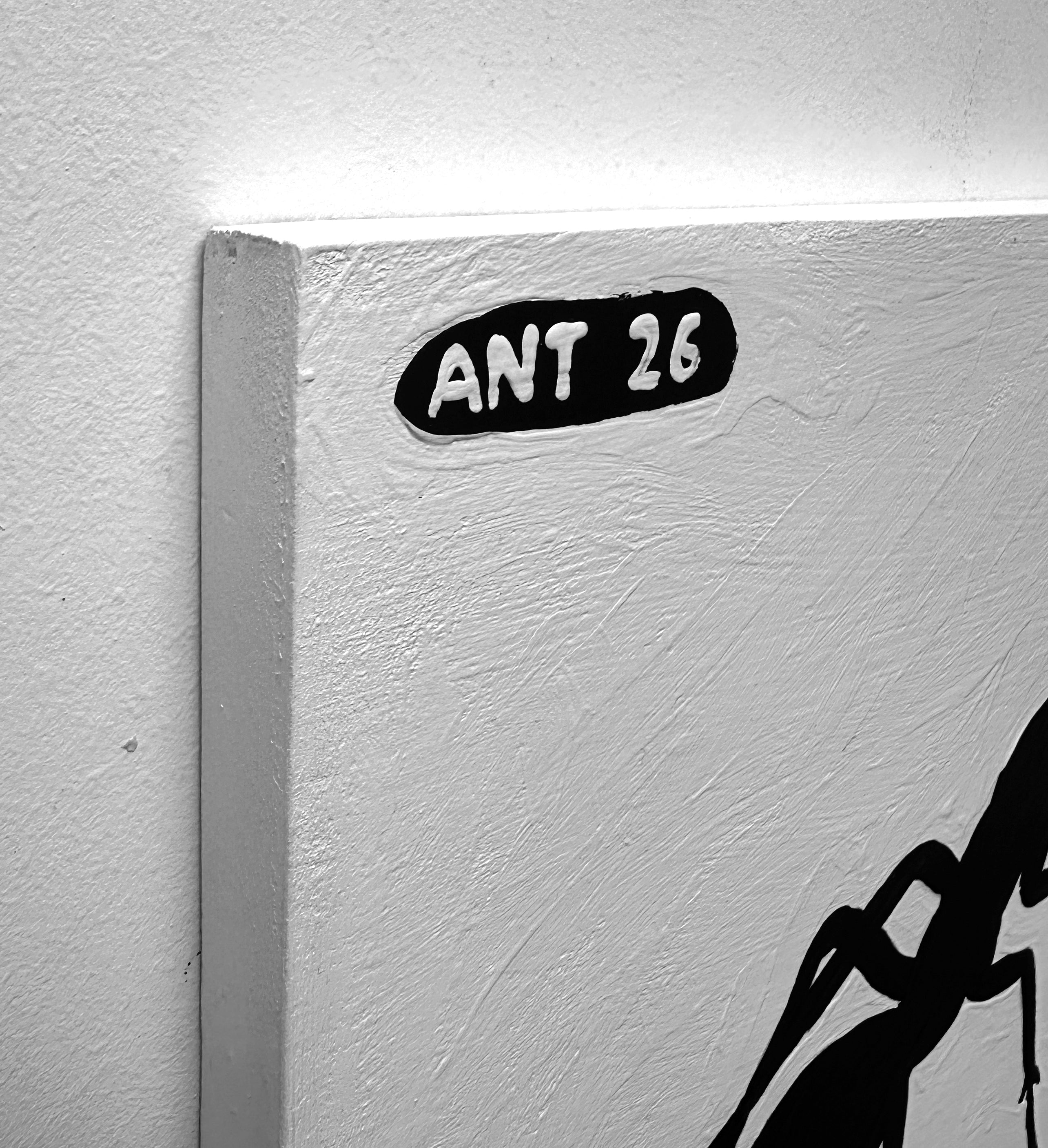 Ant #26