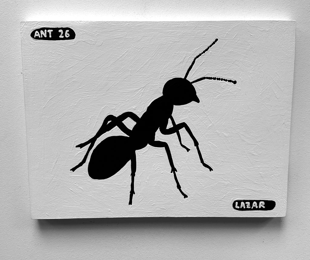 Ant #26