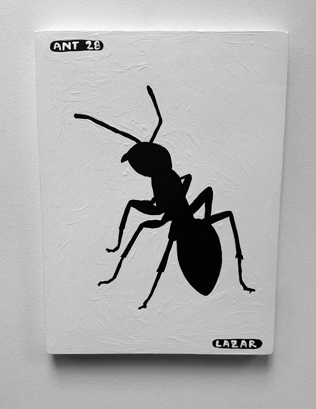 Ant #28