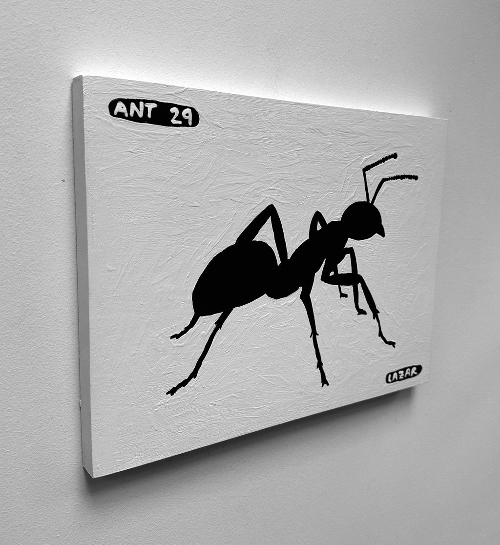Ant #29