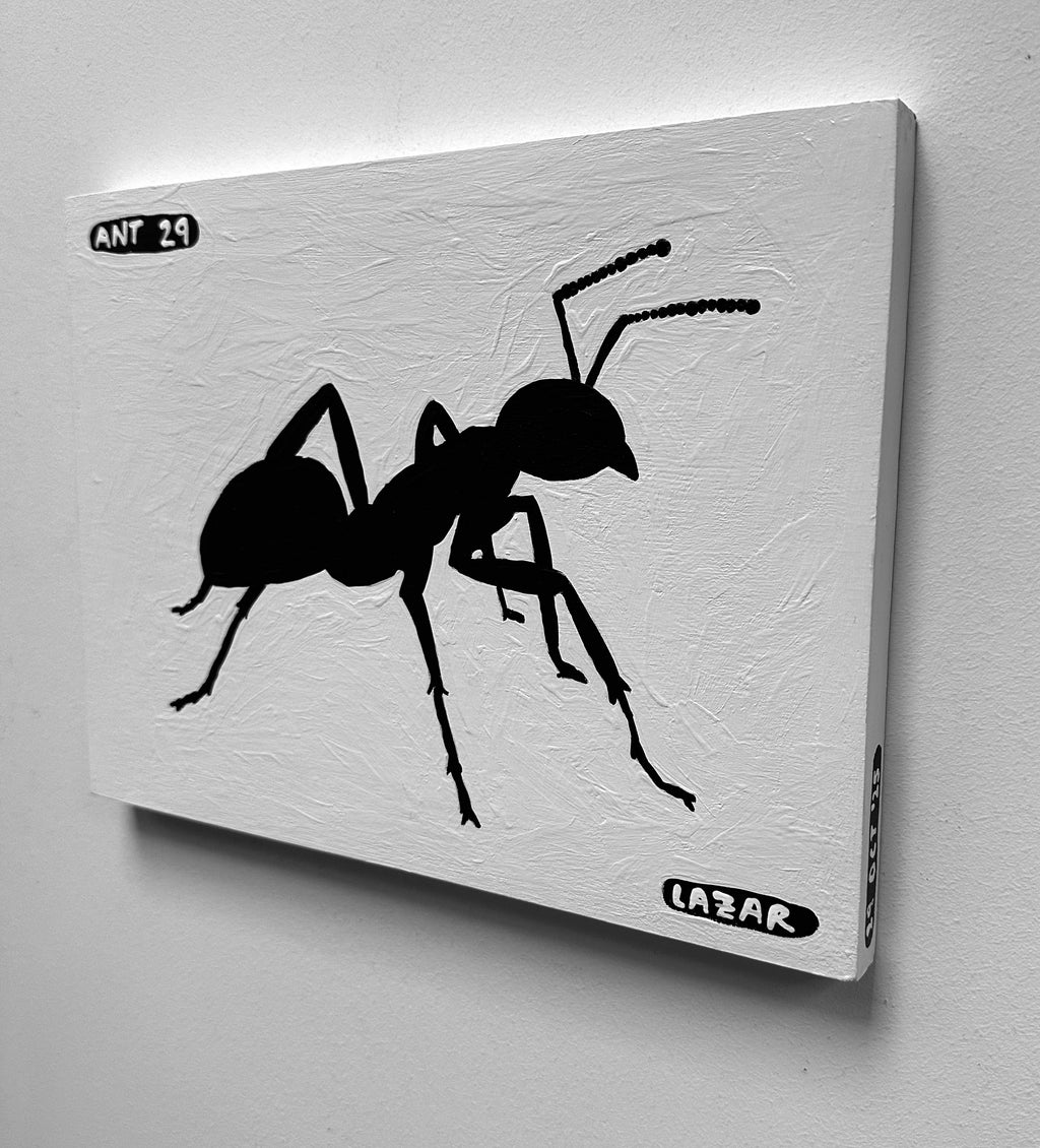 Ant #29