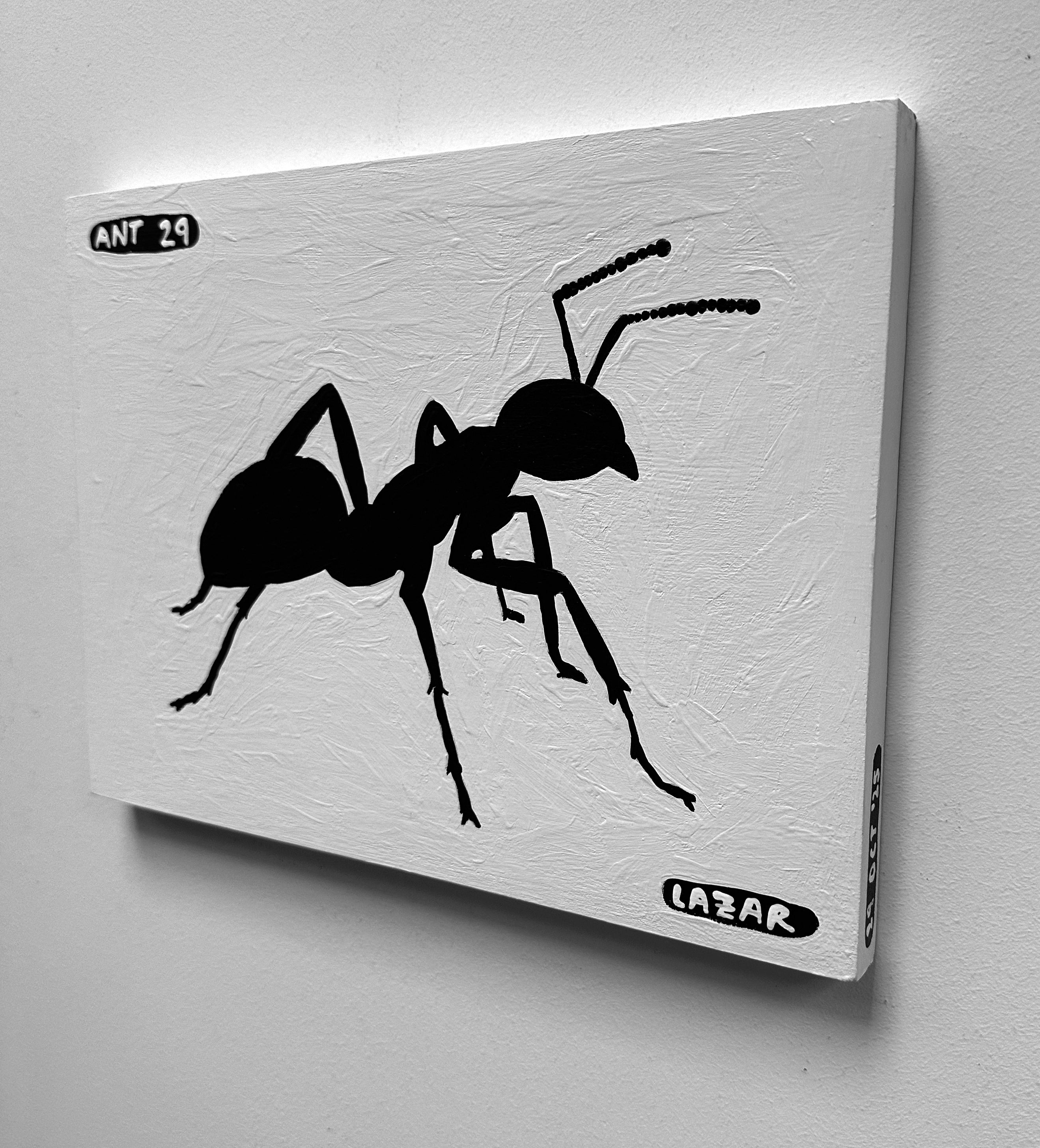 Ant #29
