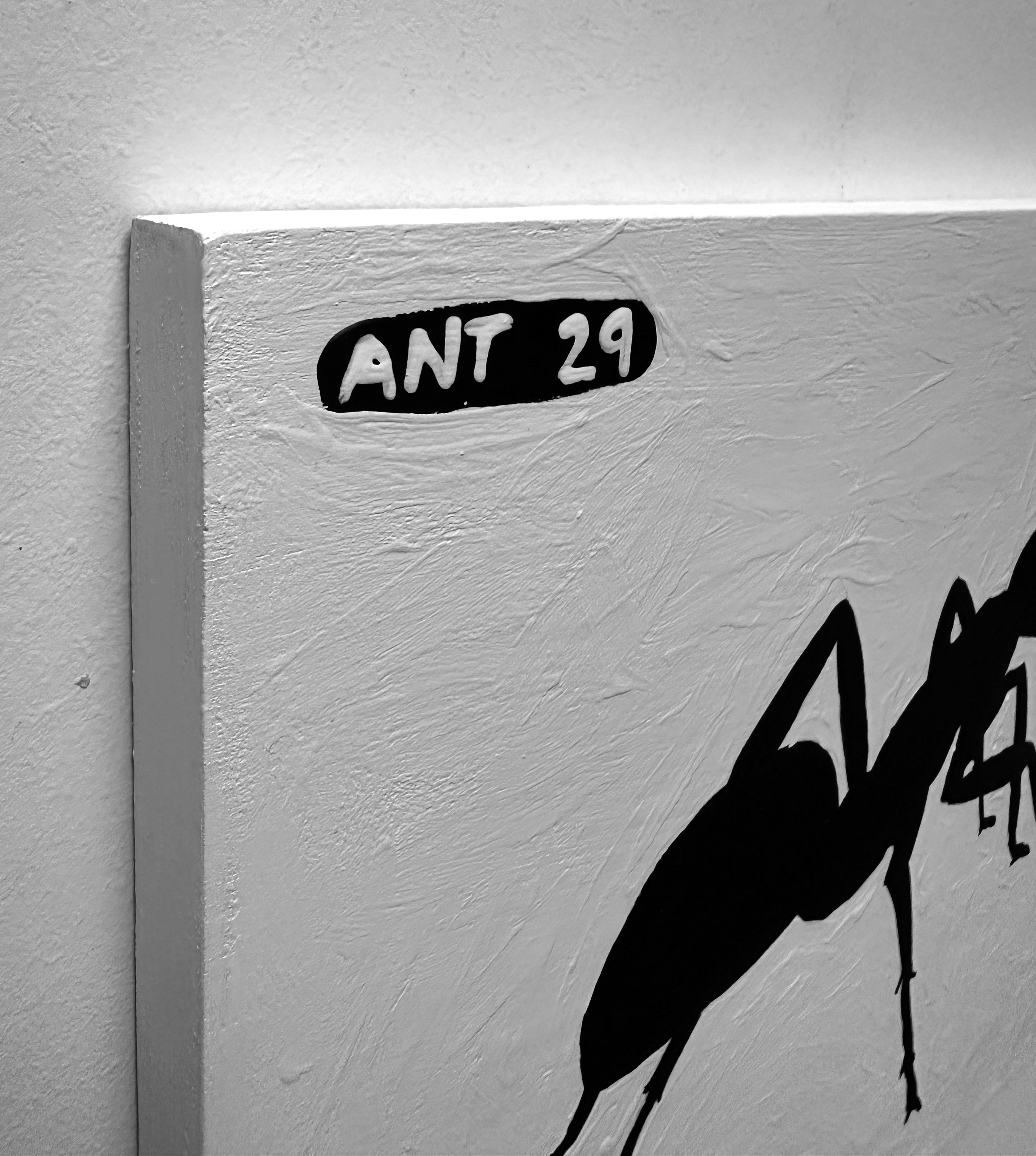 Ant #29