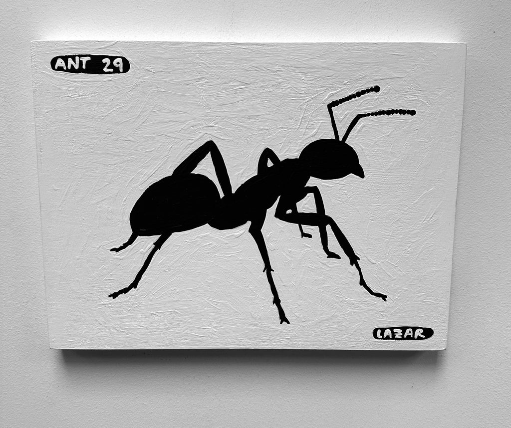 Ant #29