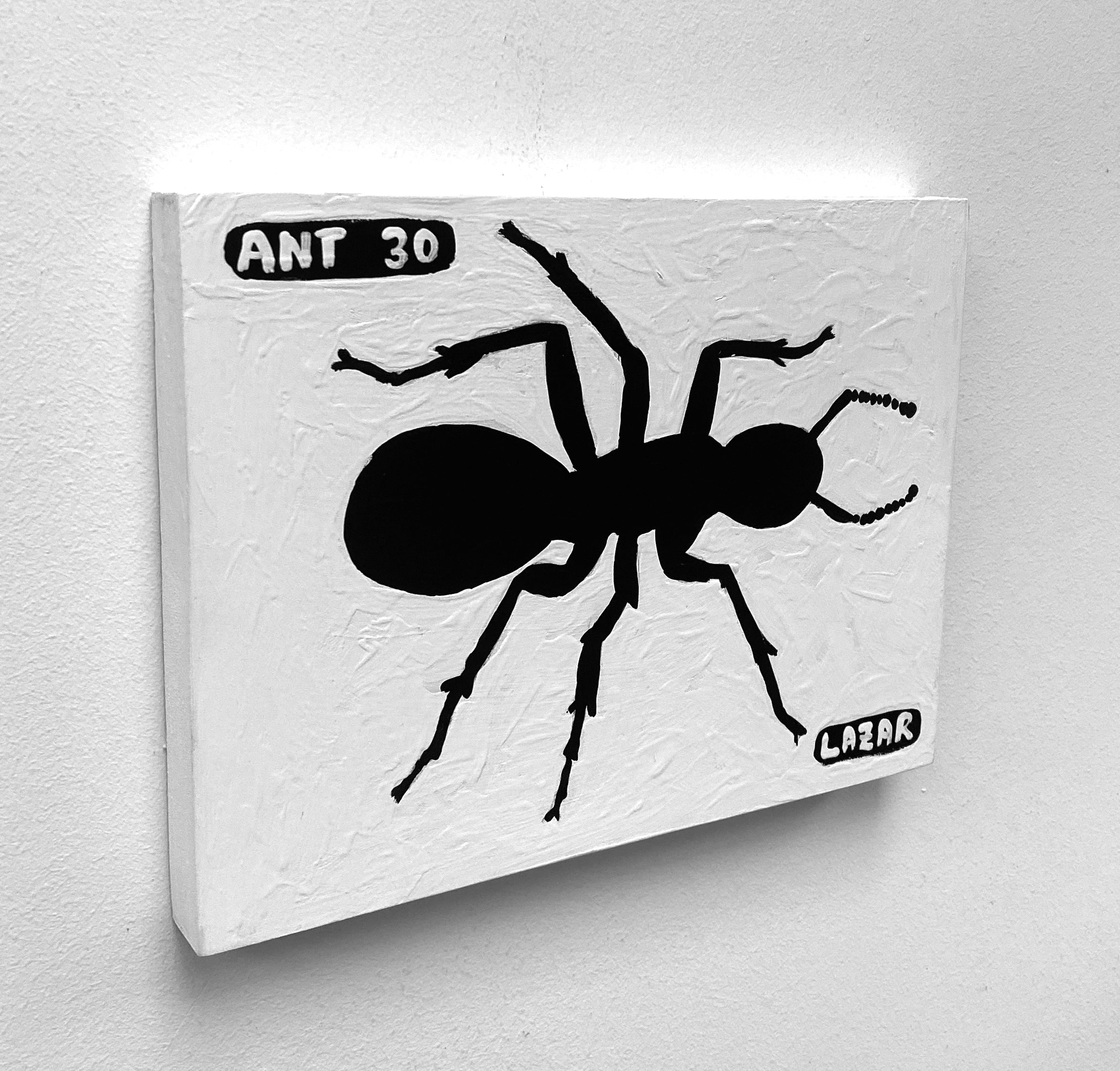 Ant #30