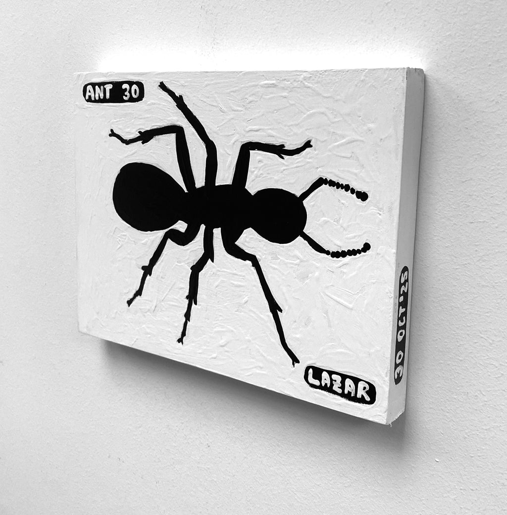 Ant #30