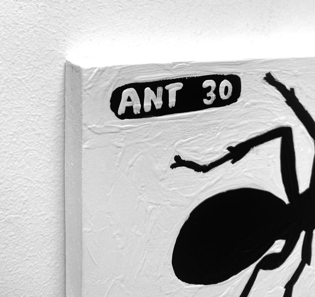 Ant #30