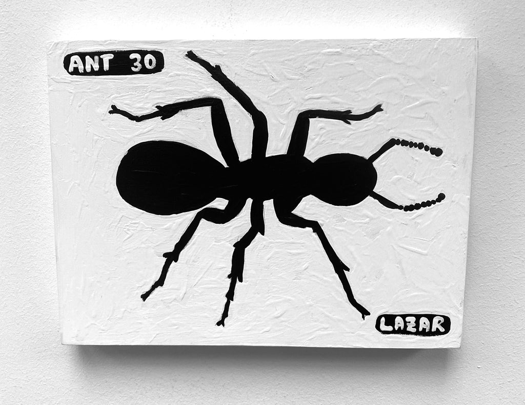 Ant #30