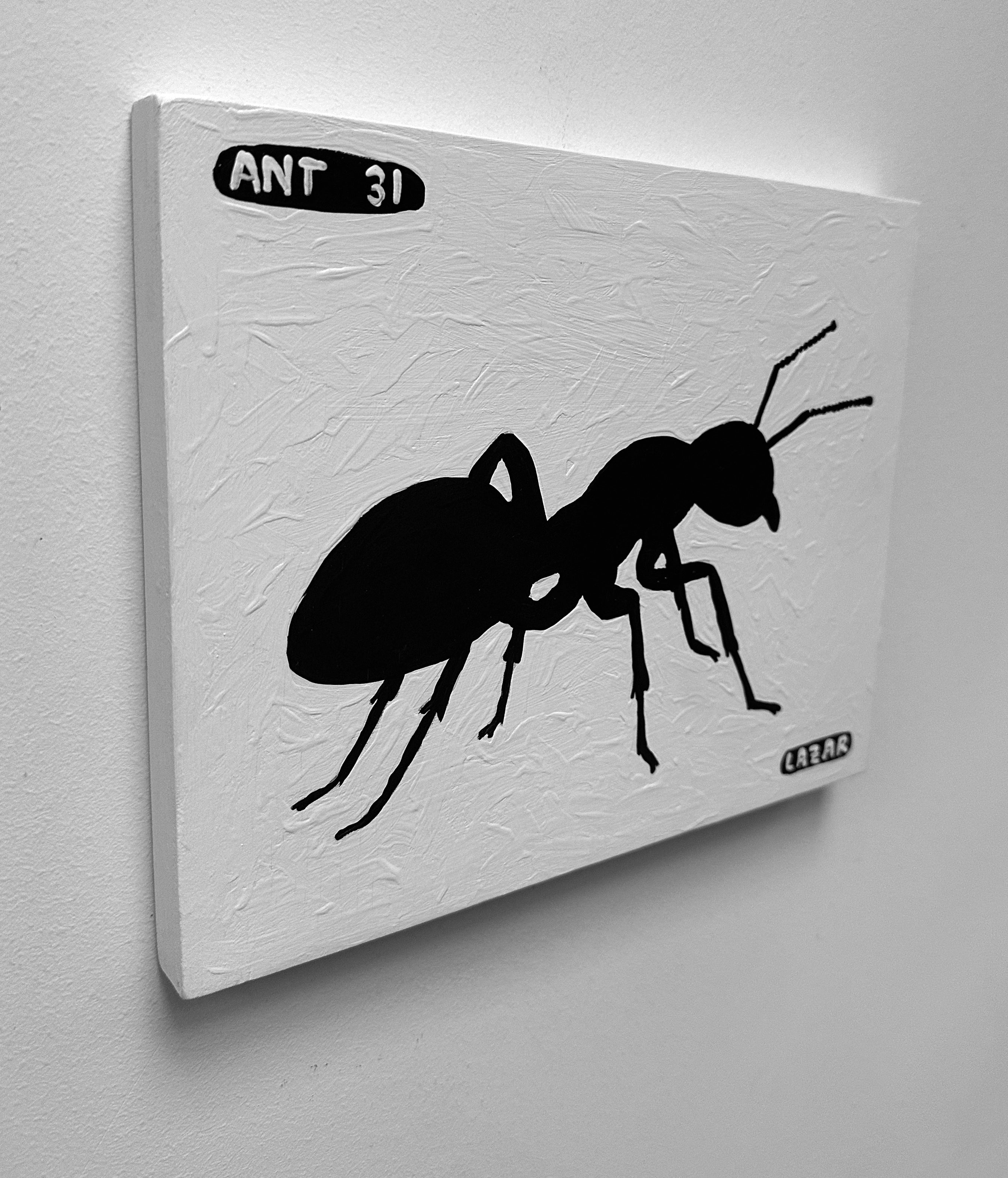 Ant #31