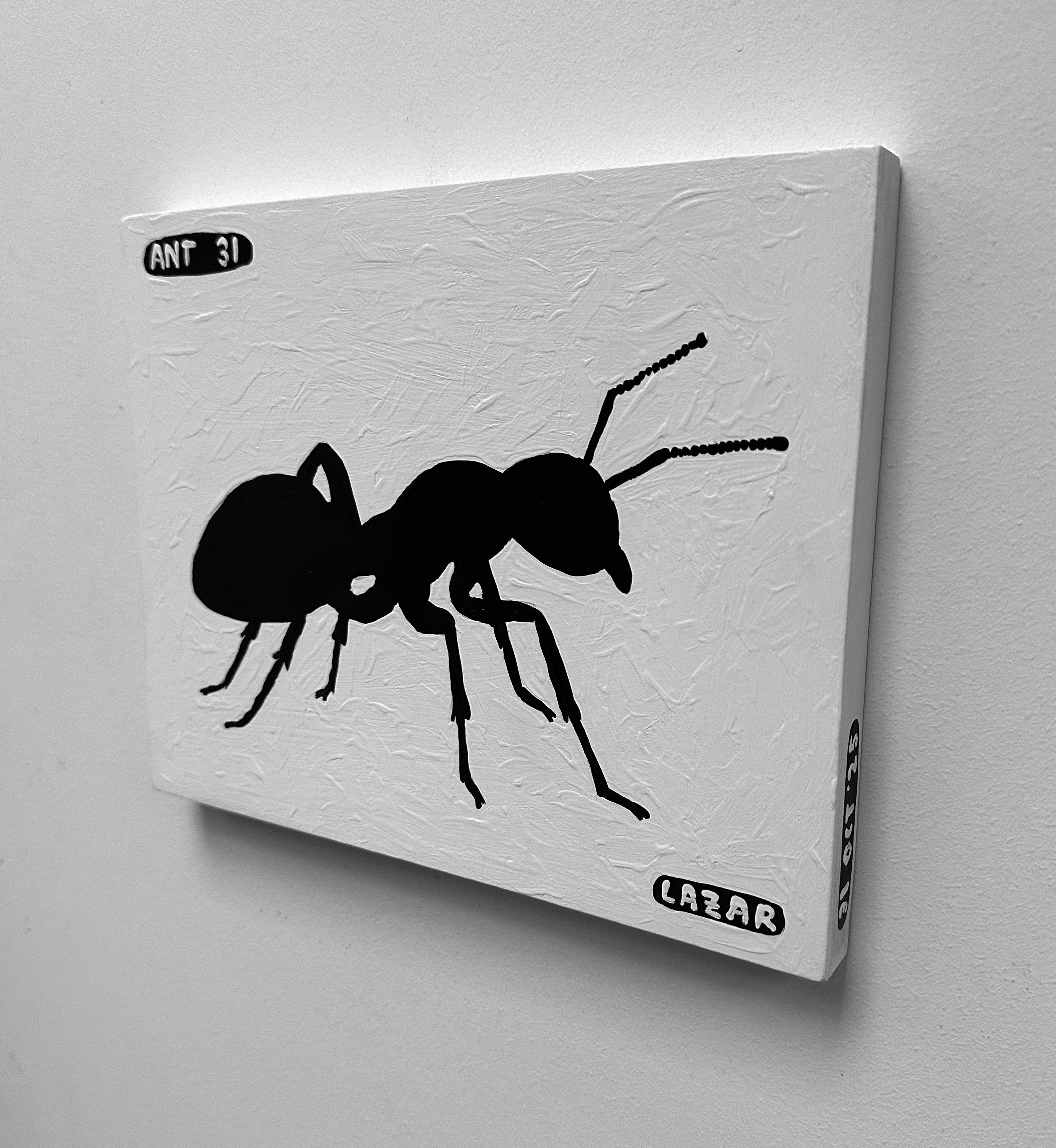 Ant #31