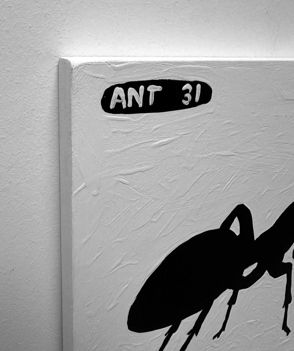 Ant #31