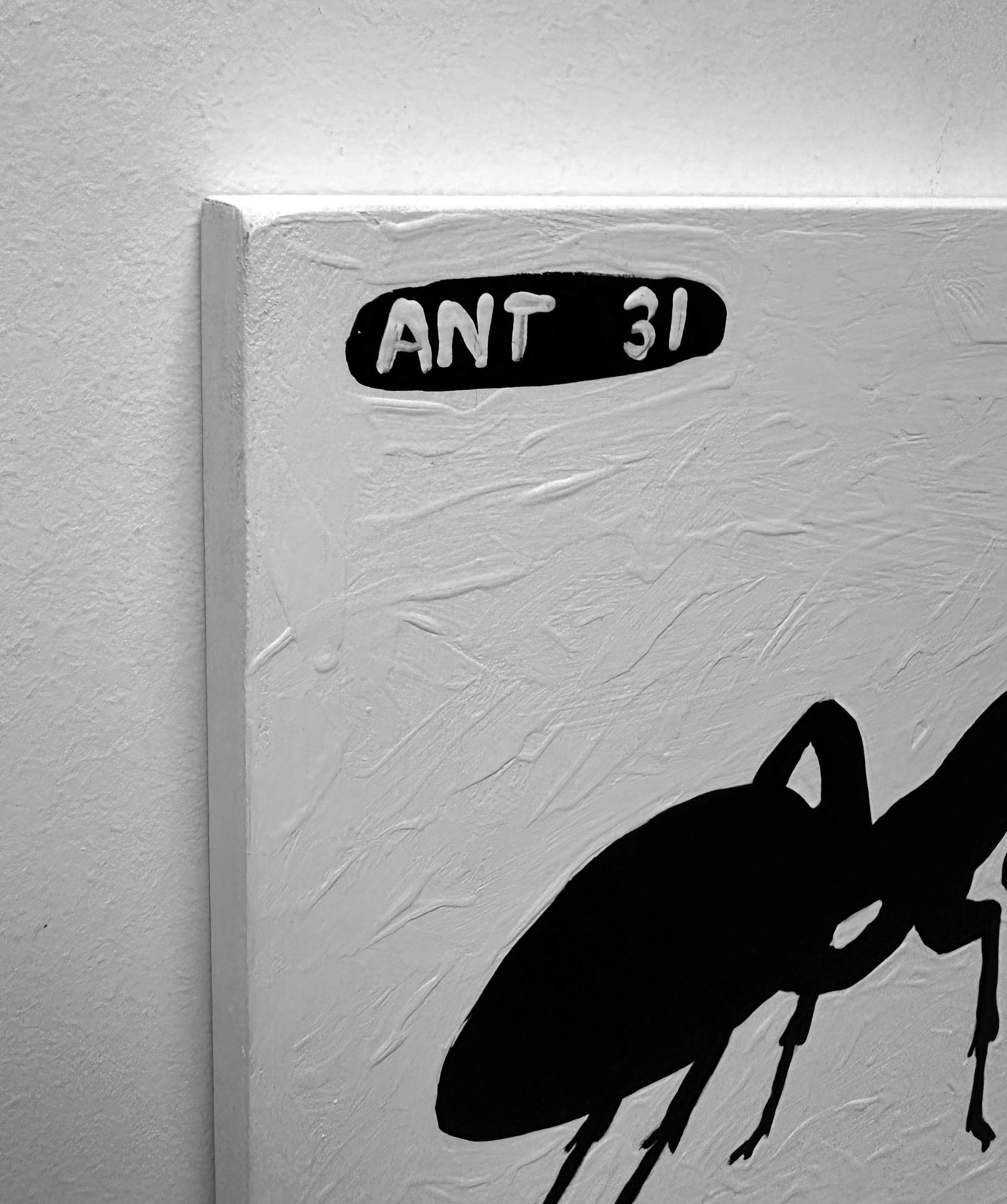 Ant #31