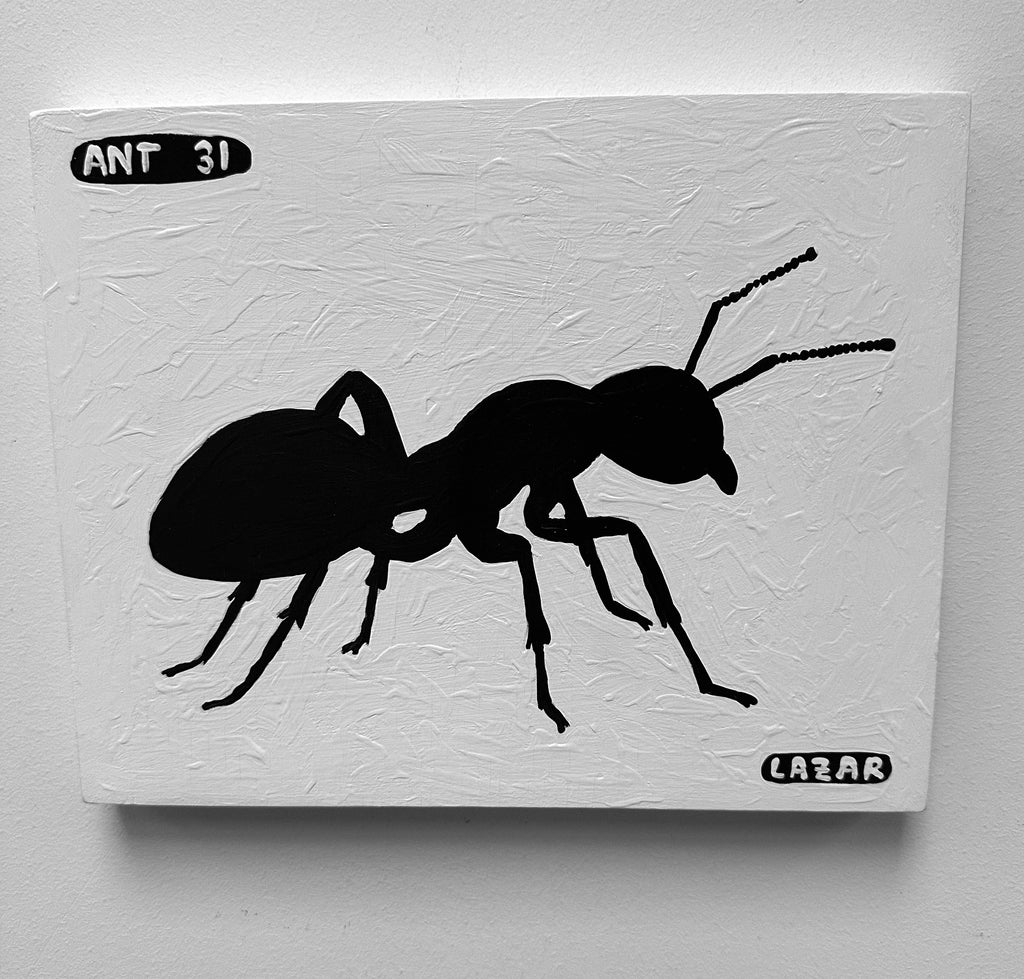 Ant #31
