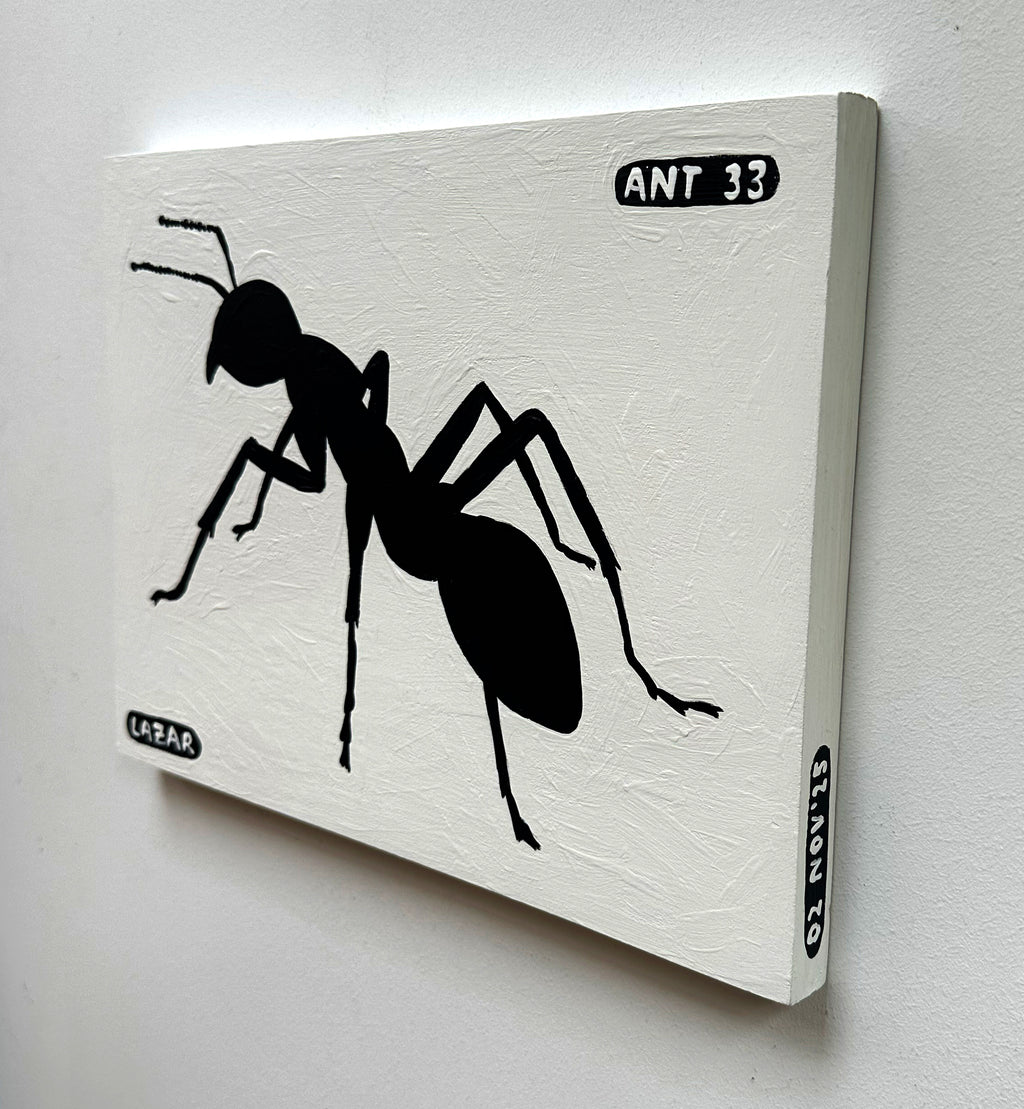 Ant #33