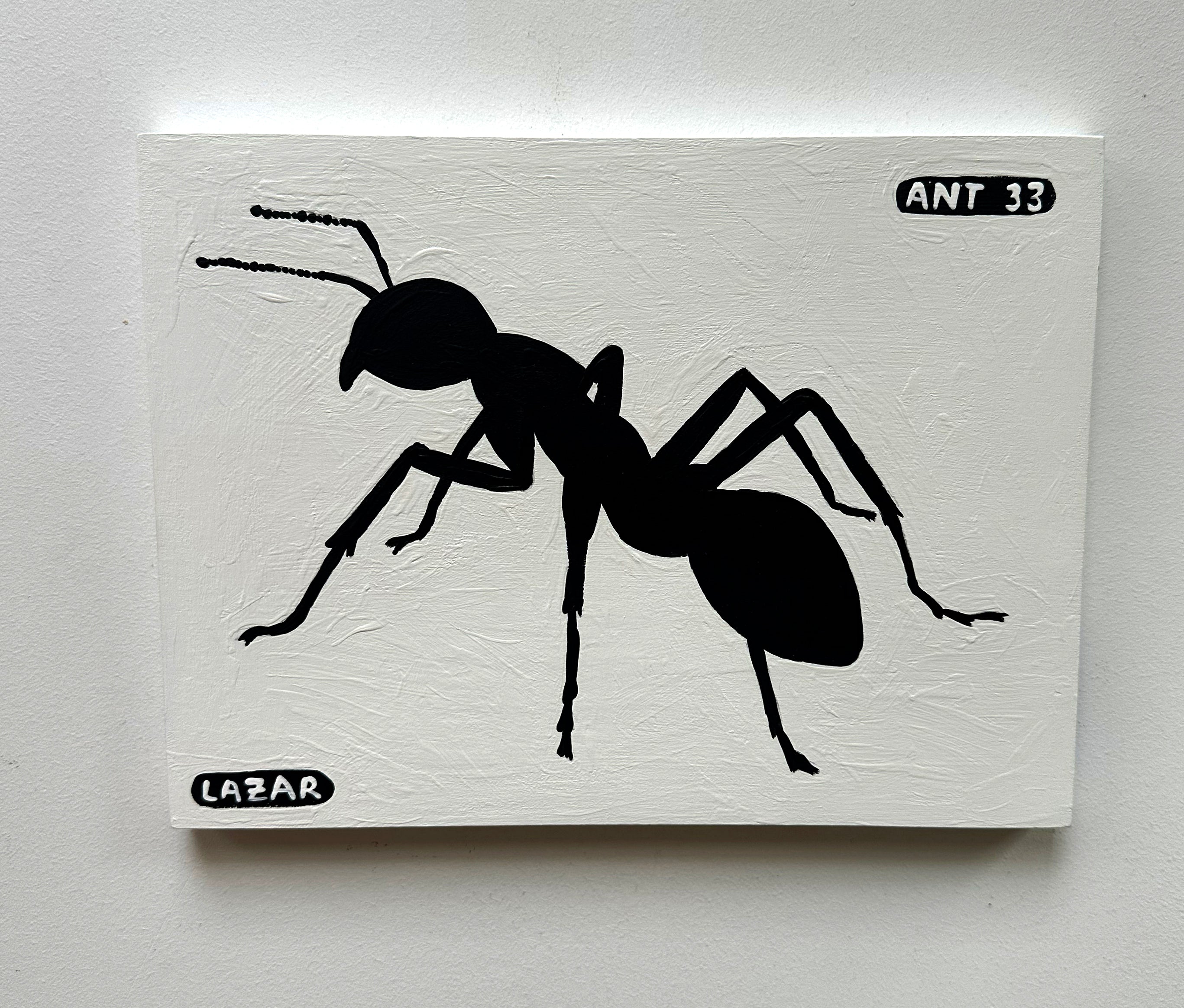 Ant #33