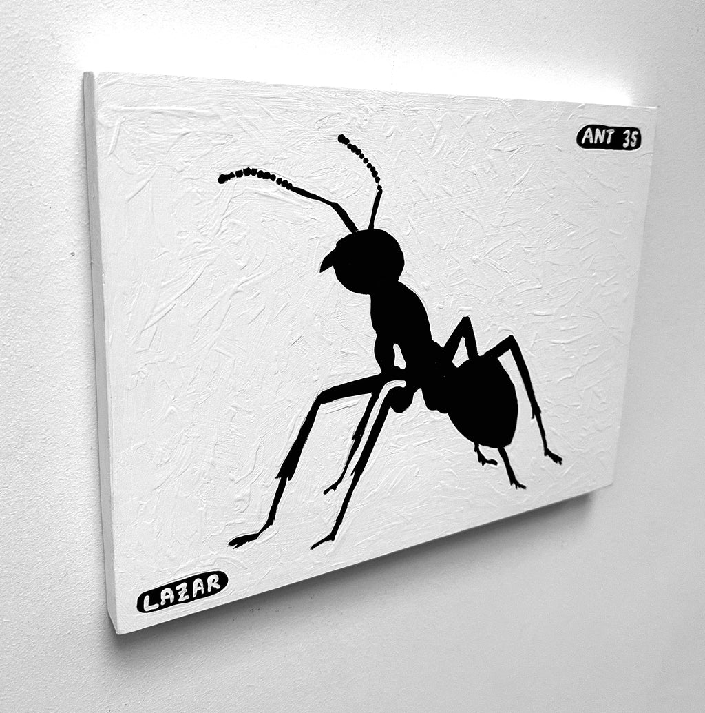 Ant #35
