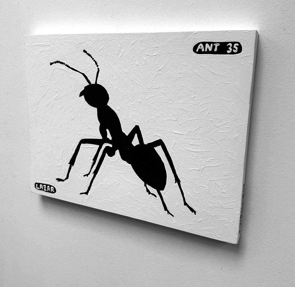 Ant #35