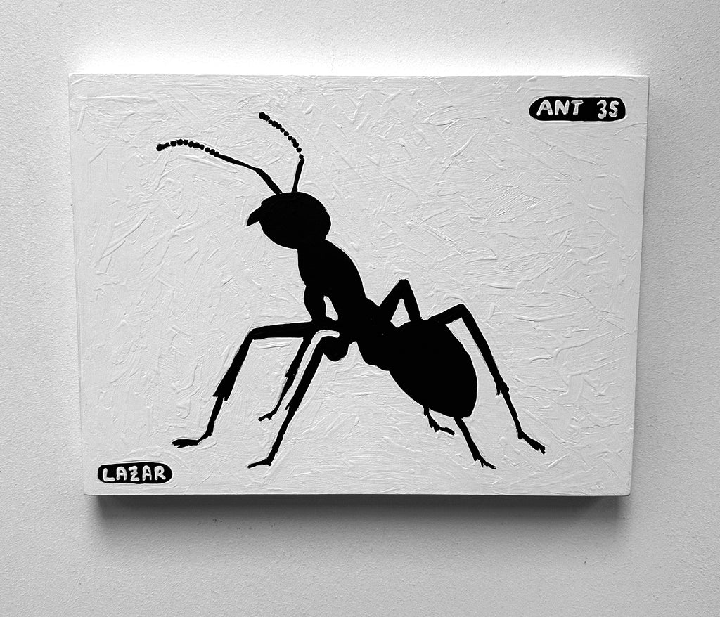 Ant #35
