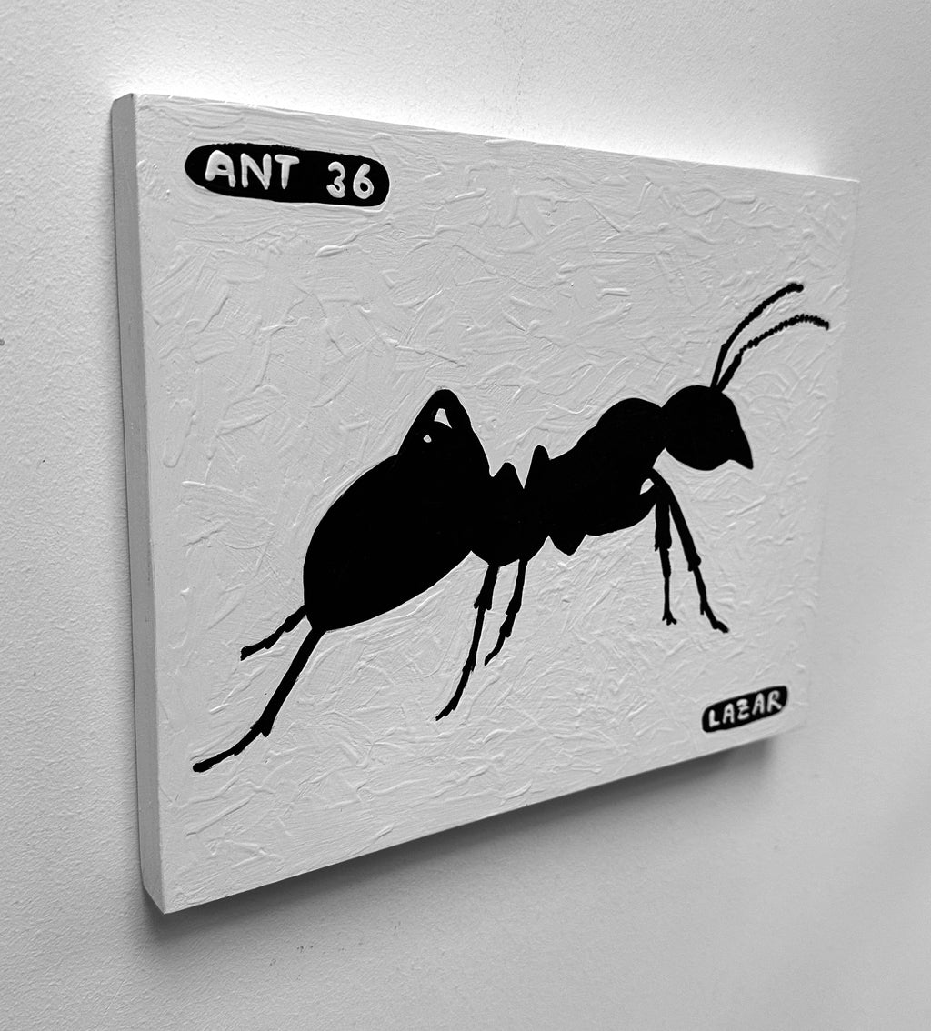 Ant #36