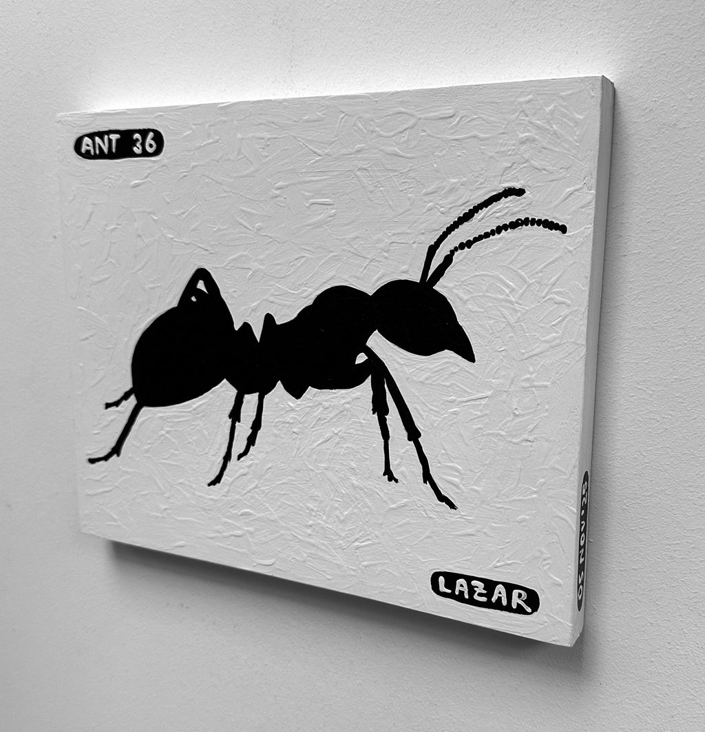 Ant #36