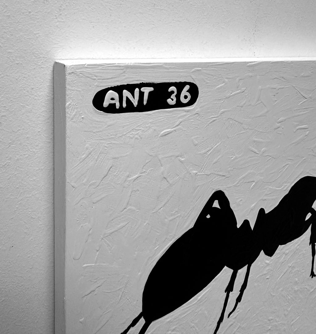 Ant #36
