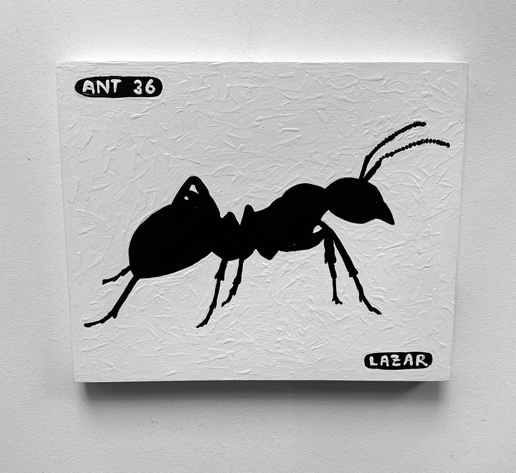 Ant #36