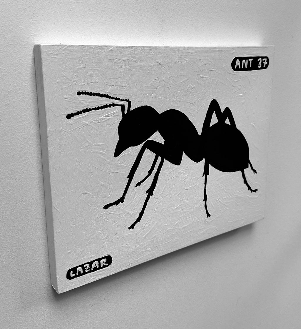 Ant #37